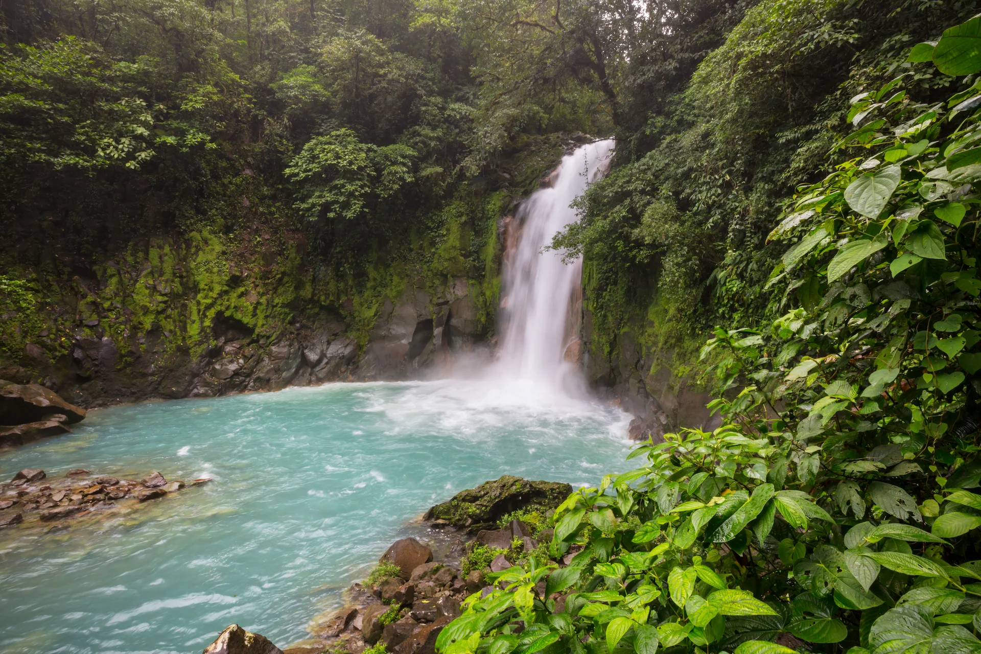 cascada-tours-en-costa-rica