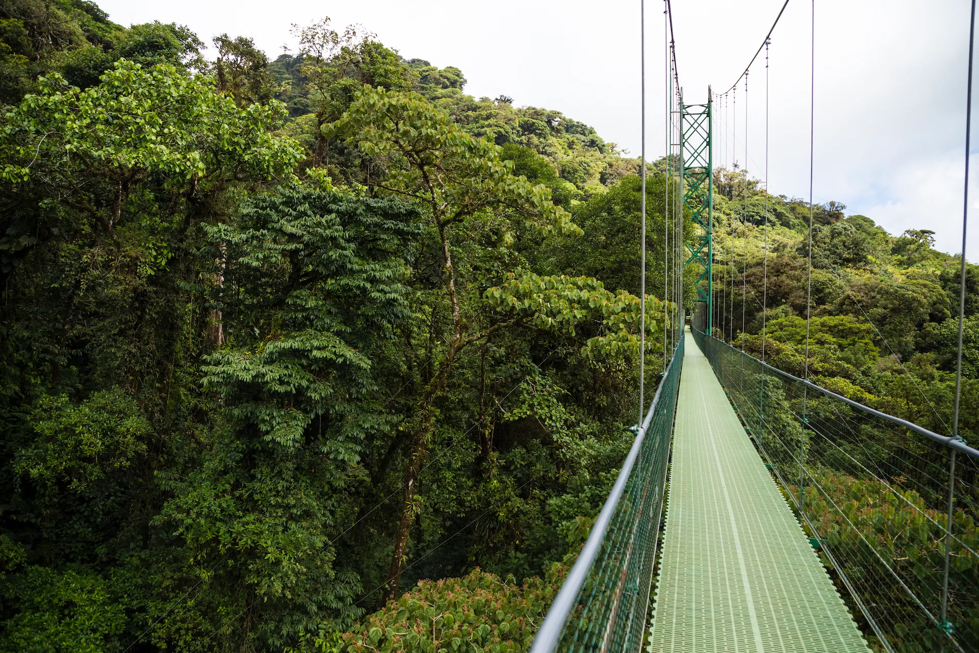 puente-colgante-tours-en-costa-rica